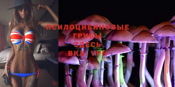 первитин Новодвинск