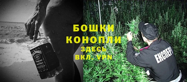скорость Новозыбков