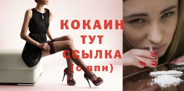 скорость Новозыбков