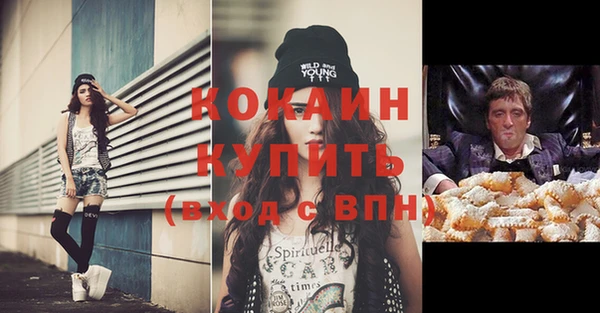 скорость Новозыбков