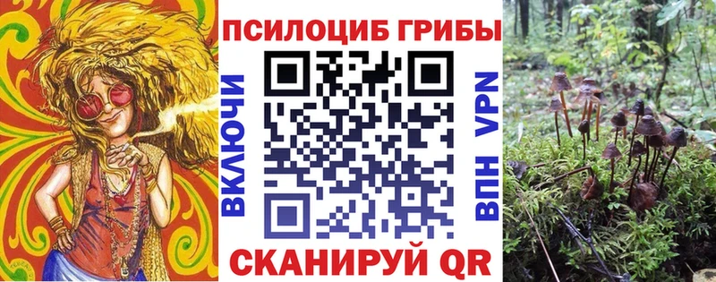 Псилоцибиновые грибы Cubensis гидра Суоярви